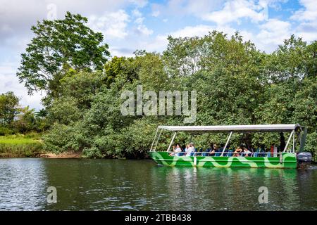 Touristen, die eine Bootstour auf dem Daintree River Unternehmen, wegen seiner wunderschönen Landschaft und der üppigen Tierwelt. Queensland, Australien. Stockfoto