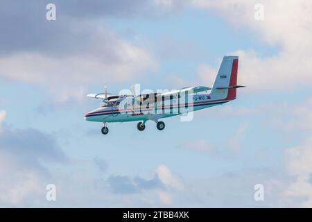 Winair (Windward Islands Airways) DHC-6 fliegt über Maho Beach, bevor er auf dem Princess Juliana International Airport SXM auf Sint Maarten, niederländischem Auto landet Stockfoto