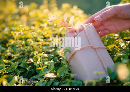 Geschenkverpackungen bestehen aus natürlichen, recycelten und umweltfreundlichen Materialien. Stockfoto