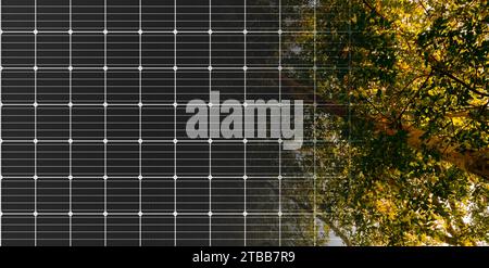 Solarpaneele Oberfläche und Wald. . Stromversorgung.Elektrizität. Erneuerbare Energien saubere Energie und Umwelt. Elektrizität. 3D-Rendering Stockfoto