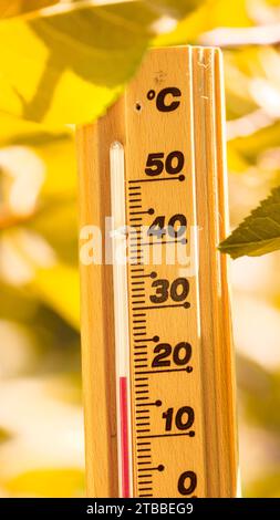 Isoliertes Thermometer zeigt 20 Grad Celsius Kälte in der Herbstsaison an. Gelbe, grüne, braune Blätter im Hintergrund des Naturwaldes. Stockfoto