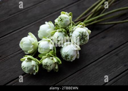 Nahaufnahme, viele weiße Lotusknospen auf Holztischhintergrund. Faltbares weißes Lotusblatt auf Holztisch, traditioneller thailändischer Stil. Stockfoto