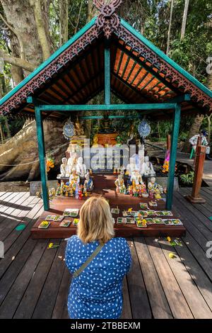 Wat Kham Chanot (Kamchanod), Gebete am kleinen Schrein des riesigen Baumes, Nagas Legende, Ban Dung, Udon Thani, Thailand, Südostasien, Asien Stockfoto