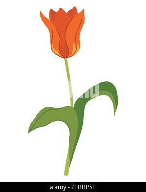 Nahtloses Muster mit Tulpen und Narzissen. Vektor-Frühlingsblumen auf schwarzem Hintergrund. Abbildung zum Bedrucken von Stoff, Tapeten, Geschenkpapieren Stock Vektor