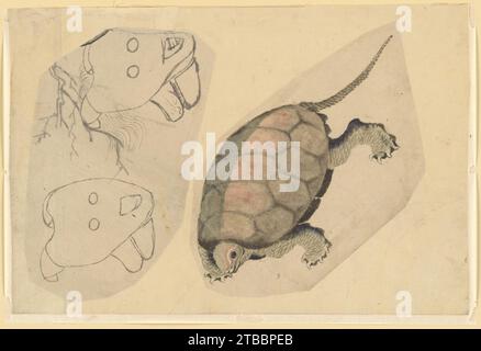 Two Sketches: One of a Turtle, the other of Two Unidentified Objects 1956 von Katsushika Hokusai Stockfoto