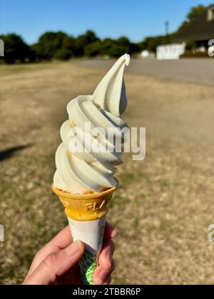 Eine Hand, die eine Eiskugel hält. Stockfoto