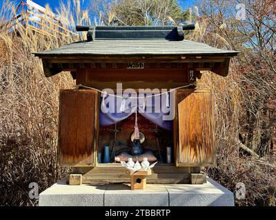 Ein kleiner Schrein, bekannt als Usagi Jinja oder „der Kaninchen-Schrein“ im Tenjo-Yama Park am Mt. Tenjo in Japan. Stockfoto