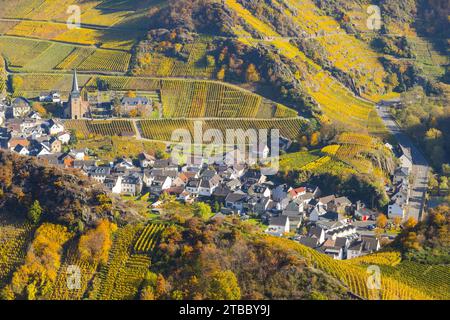 Weinberge im Herbst, Mayschoß mit Pfarrkirche, Ahrtaler Rotweinbaugebiet, Pinot Noir und portugiesischer Traubenrotwein werden hier angebaut, Eifel, Rhein Stockfoto