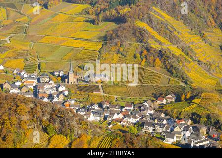 Weinberge im Herbst, Mayschoß mit Pfarrkirche, Ahrtaler Rotweinbaugebiet, Pinot Noir und portugiesischer Traubenrotwein werden hier angebaut, Eifel, Rhein Stockfoto