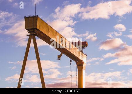 Harland & Wolff Crane, Belfast Harbour Estate, County Antrim, Nordirland. Stockfoto