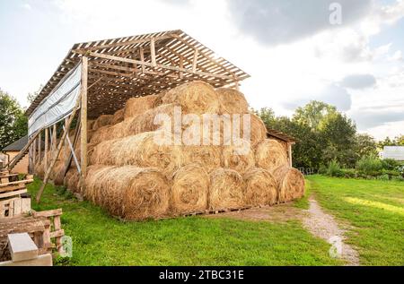 Heulager mit geernteten Heuballen für Rinder. Landwirtschaftliche Scheune Baldachin mit Ballen Heu im Sommer Stockfoto