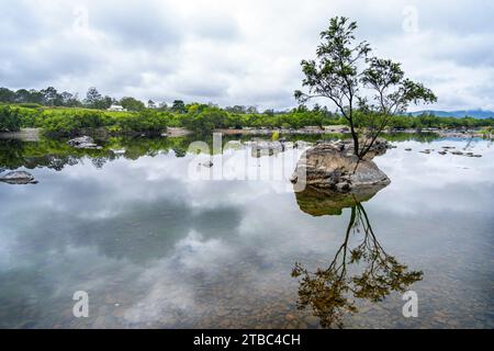 Reflexionen eines Baumes und Felsens auf stillen Wasser des Mann River in Jackadgery, NSW Australien Stockfoto