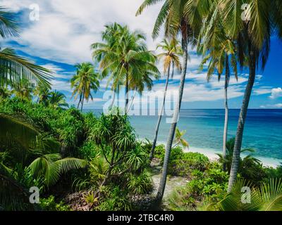 Blick aus der Vogelperspektive auf den wunderschönen tropischen Strand der Malediven auf der Insel. Sommer- und Reiseurlaubskonzept. Stockfoto