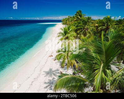 Malediven Inseln Ozean tropischer Strand mit Palmen Stockfoto