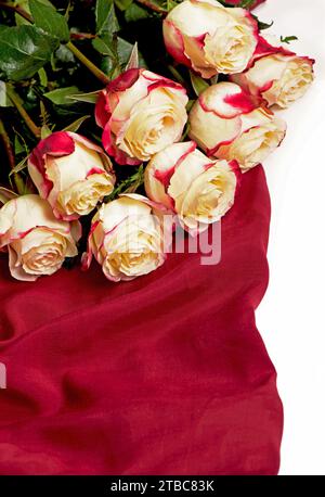 Großer Strauß rosa Rosen auf weicher Seide Stockfoto