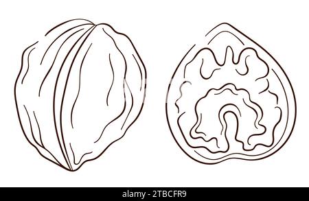 Walnusssymbole im Line Art Stil. Umrissskizze für Webseite, mobile App, Paket, Menüdesign. Vektorillustration auf weißem Hintergrund isoliert. Stock Vektor