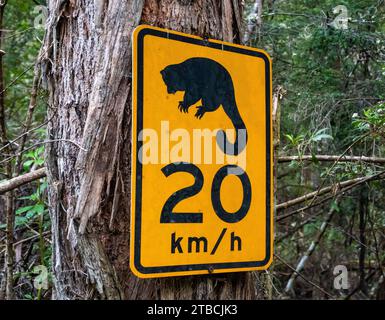 Geschwindigkeitsbegrenzung am Straßenrand zum Schutz der Wildtiere. Tasmanien, Australien. Stockfoto