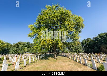 Kanadisches Zentrum in Reviers, Calvados, Basse-Normandie, Frankreich Stockfoto