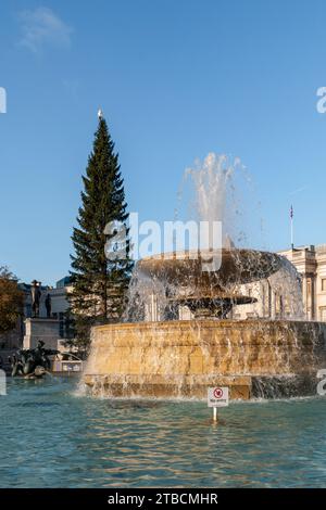 Der Trafalgar Square Weihnachtsbaum in London ist ein Geschenk der Stadt Oslo. Stockfoto