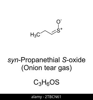 Propanethiales S-oxid chemische Formel und Struktur. Organoschwefelverbindung, die aus Zwiebeln beim Schneiden freigesetzt wird. Flüchtige Flüssigkeit und Tränengas. Stockfoto