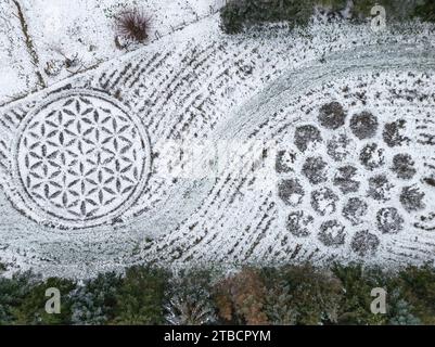 Jacobsdorf, Deutschland. Dezember 2023. Teilweise mit Schnee bedeckt ist eine ganz besondere Insektenwiese des Künstlers Michael Uy (Luftaufnahme mit Drohne). Eine große Wiese in Jacobsdorf im oder-Spree-Bezirk war im letzten Frühjahr bis zum späten Herbst voller Bienen, Hummeln und Schmetterlinge. Ein Insektenparadies - genau wie Michael Uy es wollte. Der Künstler hatte das brache Stück Land in ein Blumenmeer verwandelt - oder genauer gesagt in ein riesiges Kunstwerk. Quelle: Patrick Pleul/dpa/Alamy Live News Stockfoto