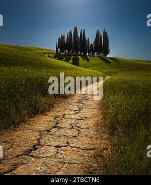 Ein Traum im Mondschein Stockfoto