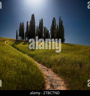 Ein Sommernachtstraum Stockfoto