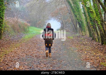 Ältere Frauen wandern im Herbstwald mit Herbstkoloren Perigord National Forest Stockfoto