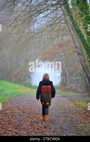 Ältere Frauen wandern im Herbstwald mit Herbstkoloren Perigord National Forest Stockfoto