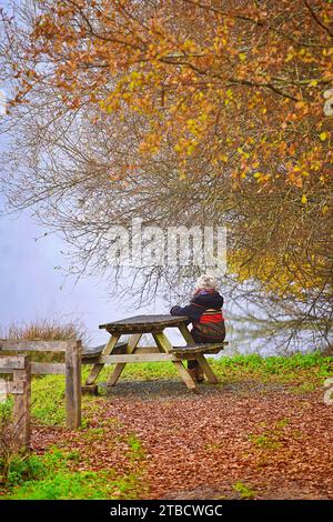 Ältere Frauen wandern im Herbstwald mit Herbstkoloren Perigord National Forest Stockfoto