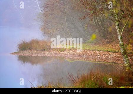 Perigord National Forest Herbstherbsttag Dordogne Frankreich am See Stockfoto