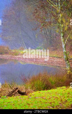 Perigord National Forest Herbstherbsttag Dordogne Frankreich am See Stockfoto