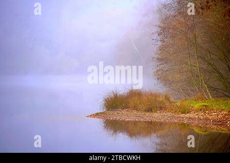 Ältere Frauen wandern im Herbstfall Forest im Perigord National Forest Stockfoto