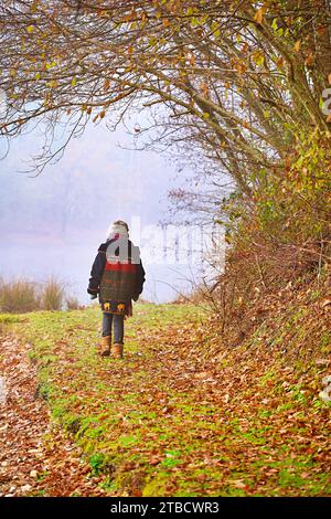 Ältere Frauen wandern im Herbstwald mit Herbstkoloren Perigord National Forest Stockfoto