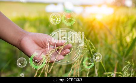 Smart Farming mit IoT, futuristisches Landwirtschaftskonzept 4,0, Farming 4,0, Smart Agricultural Technology and innovative Agricultural Concepts, Farmer US Stockfoto