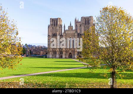 Herbstfarben auf der Kathedrale grün vor der Westfront der Wells Cathedral, Wells, Somerset, England, Großbritannien Stockfoto