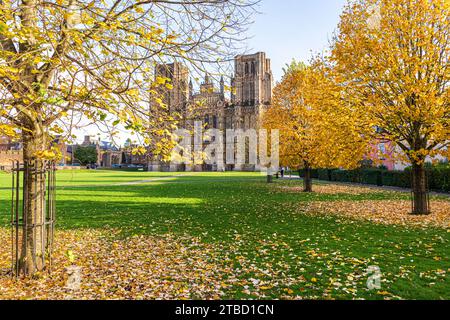 Herbstfarben auf der Kathedrale grün vor der Westfront der Wells Cathedral, Wells, Somerset, England, Großbritannien Stockfoto