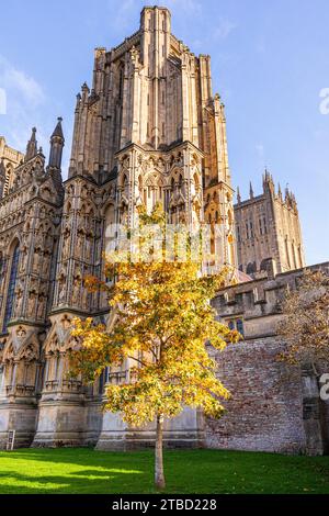 Herbstfarben in Wells Cathedral, Wells, Somerset, England, Großbritannien Stockfoto