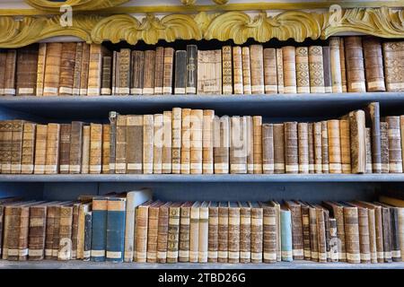 Ostritz, Deutschland. Dezember 2023. Bücher stehen auf einem Regal in der Bibliothek in St. Kloster Marienthal. Sachsen hat die historisch wertvolle Bibliothek der St. erworben Kloster Marienthal für 5,5 Millionen Euro. Quelle: Sebastian Kahnert/dpa/Alamy Live News Stockfoto