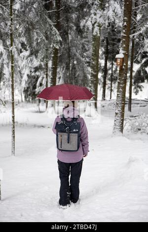 Unerkennbare kaukasische junge Frau mit offenem Schirm, die durch einen verschneiten Wald in Europa geht. Von hinten aufgenommen, selektiver Fokus. Stockfoto