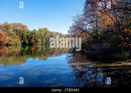 Herbstfarben im Dezember im Red Bud Isle Park in Austin, Texas Stockfoto