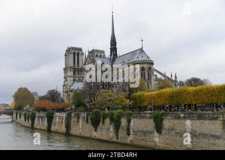 Sainte-Chapelle, Heilige Kapelle, die ehemalige Schlosskapelle der ehemaligen königlichen Residenz Palais de la Cite auf der Ile de la Cite, Inneres, Paris Stockfoto