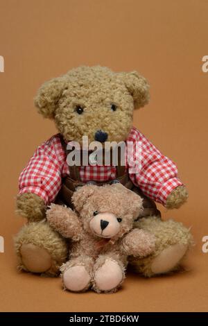 Zwei Teddybären sitzen vor braunem Hintergrund, Teddy Stockfoto