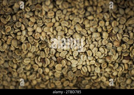 Hintergrundbild der grünen Kaffeebohnen, die zum Rösten in der Kaffeehersteller bereit sind, Kopierraum Stockfoto