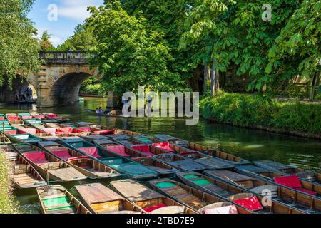 Punts am Cherwell River mit Magdalen Bridge im Hintergrund im Oxford City Centre, Oxfordshire, England, Großbritannien Stockfoto