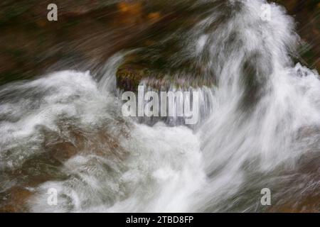 Bergbach Zellerache fließt über Steine durch das Helenental, Mondsee, Mondseeland, Salzkammergut, Oberösterreich, Österreich Stockfoto