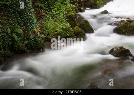 Bergbach Zellerache fließt über moosbedeckte Steine durch das Helenental, Mondsee, Mondseeland, Salzkammergut, Oberösterreich, Österreich Stockfoto