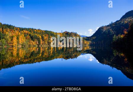 Bergsee, bunter Herbstwald im Nussensee, Salzkammergut, Salzburger Land, Österreich Stockfoto