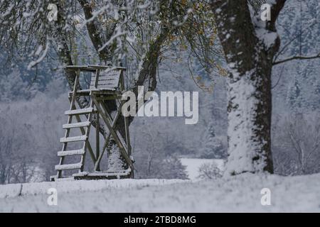Jagdsitz mit Schnee bedeckt, hoher Stand, Wildkanzel, Jagd, hoher Sitz, Naturpark Schwäbisch-Fränkischer Wald, Bibers, Biberstal, Schwäbisch Stockfoto