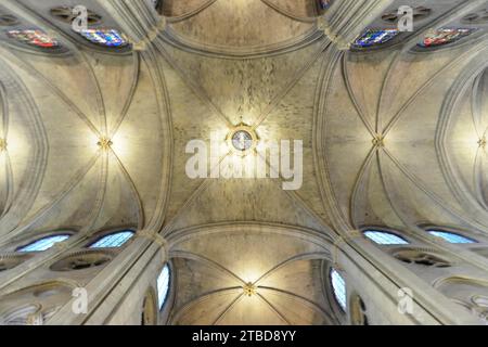 Kathedrale Notre Dame, Innenansicht, Decke, Ile de la Cite, Paris, Region Ile-de-France, Frankreich Stockfoto